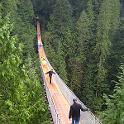 14 Capilano Canyon and Tree Tops